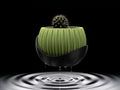 Three 3D printed fluted planters in sand, ochre and terracotta holding a fittonia, a cactus and a croton
